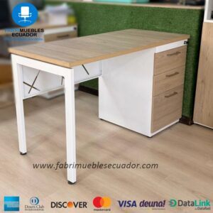 ESCRITORIO RECTANGULAR 120 * 60 – ESC-R 005